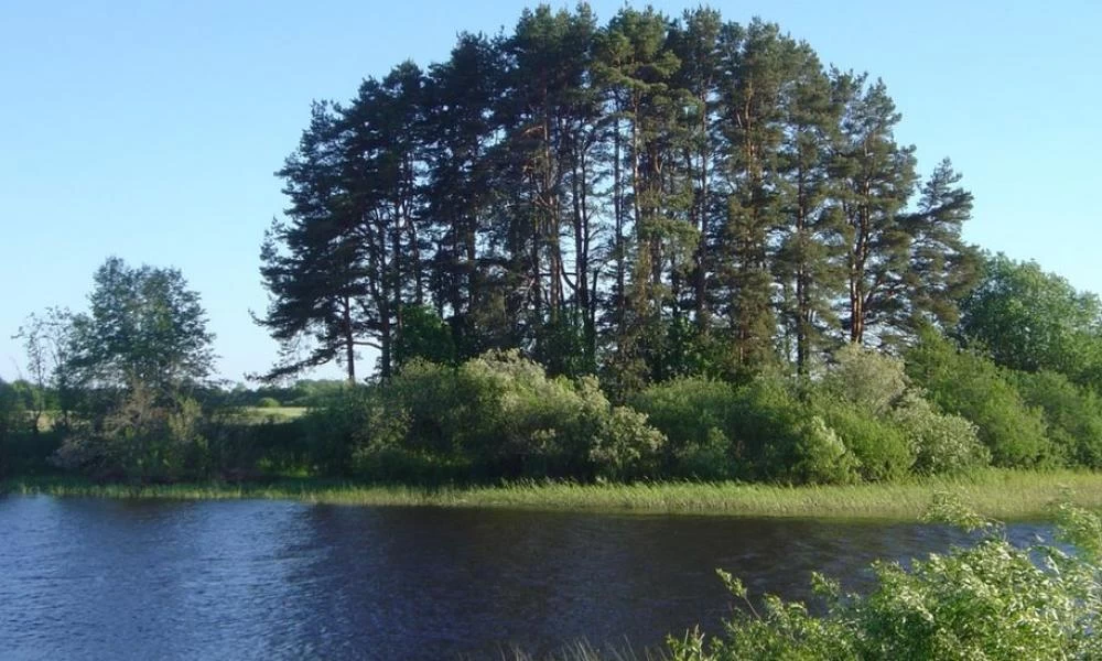 Λετονία: Ανακάλυψαν τον σκελετό άντρα που έπασχε από πανώλη